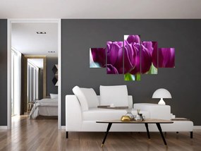 Obraz tulipanów (125x70 cm)
