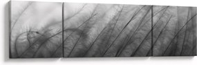 Obraz - Trawa na wietrze (170x50 cm)