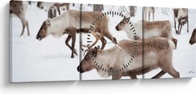 Obraz - Renifer (z zegarem) (90x30 cm)