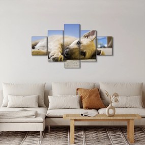 Obraz leżącego szczeniaka (125x70 cm)