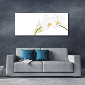 Obraz canvas Letni Ogród Botaniczny