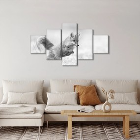 Obraz - Skaczący lis, czarno - biały (125x70 cm)