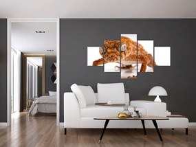 Obraz jaszczurki (125x70 cm)