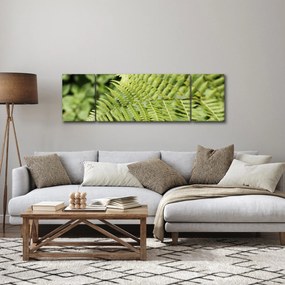 Obraz - Liść paproci (170x50 cm)