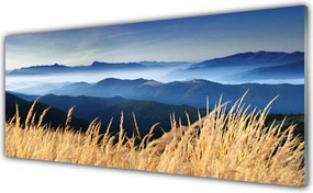Panel Szklany do Kuchni Złociste Łany Zboża