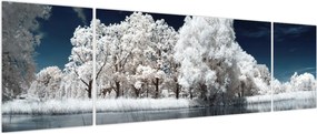 Obraz - Śnieżnobiałe drzewa (170x50 cm)