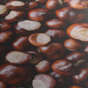 Obraz - Dojrzałe kasztany (70x50 cm)
