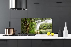 Szkło Ozdobne do Kuchni Ścieżka przez Słoneczny Las