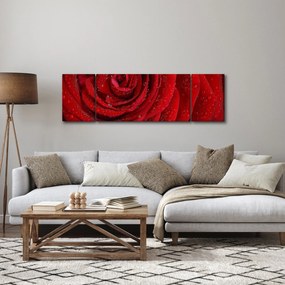 Obraz - szczegół róży (170x50 cm)