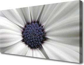 Duży obraz na płótnie Kwiatowy Akcent Wnętrza