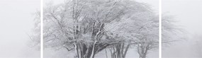 Obraz - Biała zima (170x50 cm)