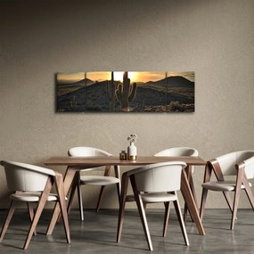 Obraz - kaktusy w słońcu (170x50 cm)