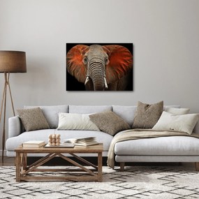 Obraz - Słonie z Tsavo (70x50 cm)