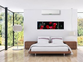 Obraz - Taniec maków (170x50 cm)