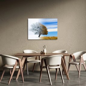Obraz na szkle - Zmiana pór roku (70x50 cm)