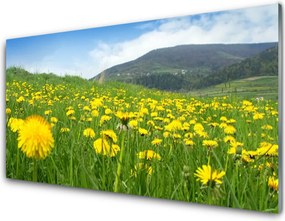 Szkło do Kuchni na Ścianę Polny Urok Mniszka