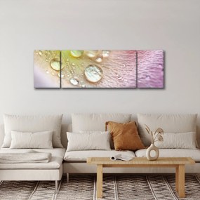 Obraz - Kropelki (170x50 cm)