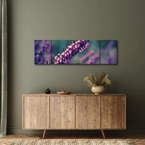 Obraz fioletowego kwiatu (170x50 cm)
