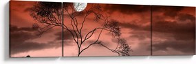 Obraz - Księżyc oświetlający noc (170x50 cm)