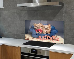 Szklany Panel Urocze Pieski Rasy York