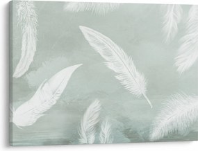 Obraz - Białe pióra (70x50 cm)