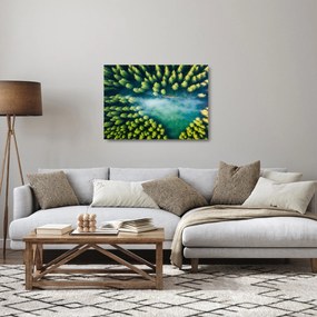 Obraz na szkle - Las spowity mgłą (70x50 cm)