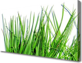 Obraz canvas na ścianę Naturalny Motyw Trawy