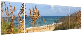Obraz - Plaża (170x50 cm)