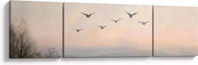 Obraz - Stado ptaków (170x50 cm)