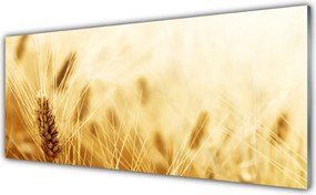 Szkło nad Blatem Łany Złotej Pszenicy