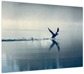 Obraz - Nury (70x50 cm)