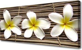 Zdjęcie na płótnie Harmonijna Flora Botaniczna