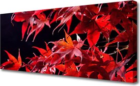 Obraz canvas Organiczna Tekstura Liści