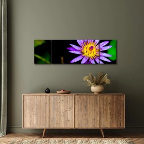 Obraz kwiatu (170x50 cm)