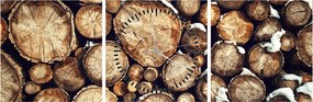 Obraz - Drewno w śniegu (z zegarem) (90x30 cm)