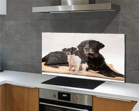 Szklany Panel Odpoczywająca Para Psów