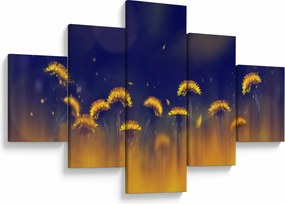 Obraz - Dmuchawce (125x70 cm)