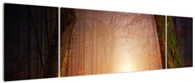 Obraz jesiennego lasu we mgle (170x50 cm)