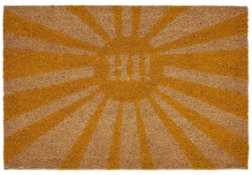 Wycieraczka z naturalnego włókna kokosowego Premier Housewares Hi, 40x60 cm