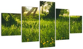 Obraz natury - łąka (125x70 cm)
