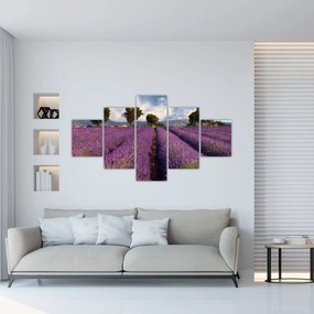 Obraz - Pole lawendy i góry (125x70 cm)