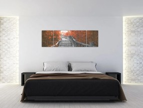 Obraz - Schody w naturze, pomarańczowy (170x50 cm)