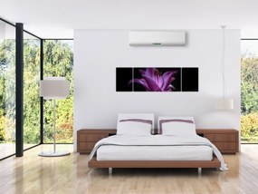 Obraz lilii (170x50 cm)