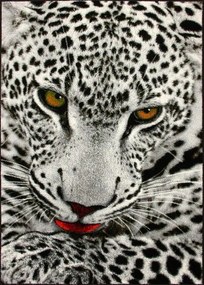 Dywan Koloreo Dzikie Cętki 160x230 Prostokąt