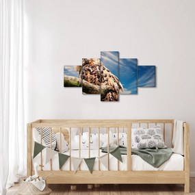 Obraz sowy (125x70 cm)