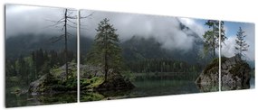 Obraz drzew w jeziorze (170x50 cm)