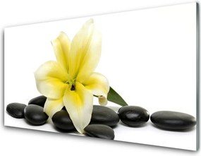 Panel nad blat kuchenny Minimalistyczna Forma Zen