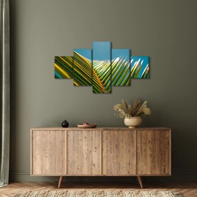 Obraz - Detal liścia palmowego (125x70 cm)