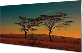 Panel szklany do Kuchni Korony Drzew pod Niebem