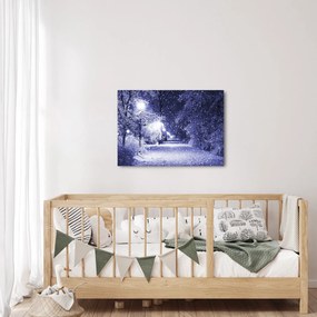 Obraz - Magiczna zimowa noc (70x50 cm)